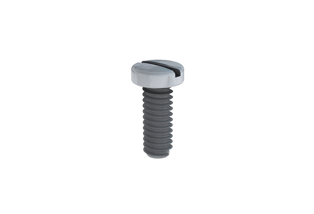 Pan Head Screw